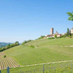 escursione-piemonte-anello-barbaresco04_original