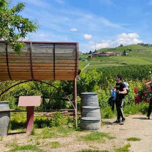 escursione-piemonte-anello-barbaresco06_original