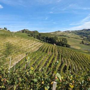 escursione-piemonte-anello-barbaresco08_original