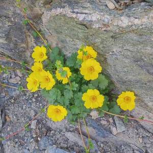 escursione-piemonte-monte-chaberton09_original