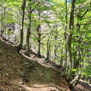 escursione-piemonte-pis-del-pesio04_original