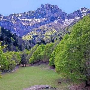 escursione-piemonte-pis-del-pesio08_original