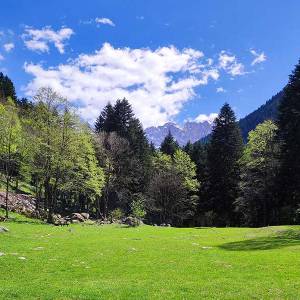 escursione-piemonte-pis-del-pesio09_original