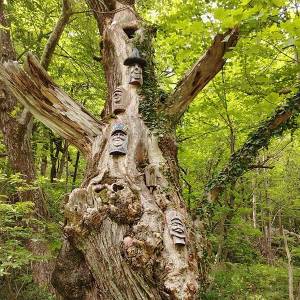 escursione-piemonte-vallone-bourcet-05_original