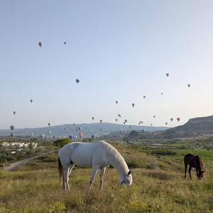 viaggio-turchia-tour-cappadocia-trekking-mongolfiera-gallery-02_original