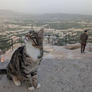 viaggio-turchia-tour-cappadocia-trekking-mongolfiera-gallery-04_original