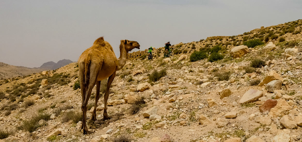 Viaggio in Giordania: Tour Mountain Bike Jordan Bike Trail Viaggio in Giordania: Tour Mountain Bike Jordan Bike Trail