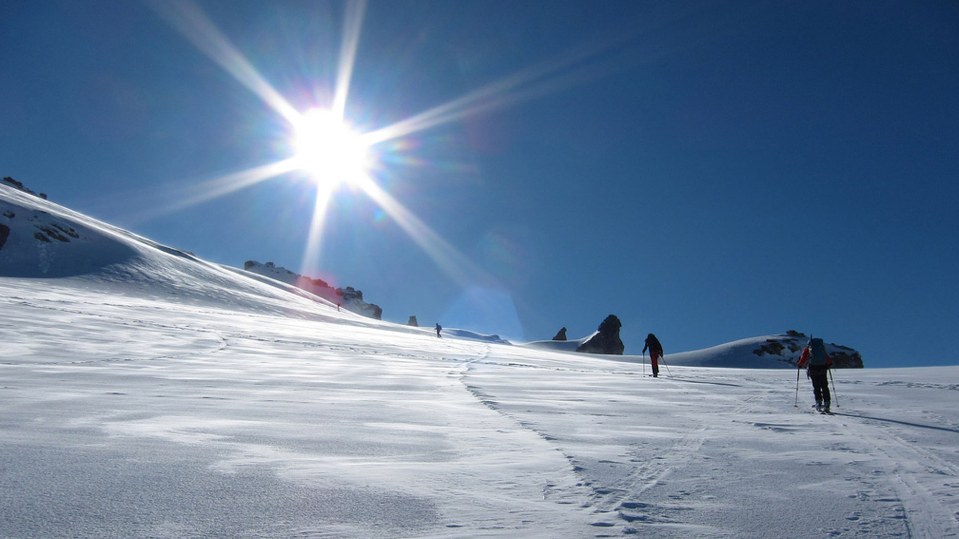 Scialpinismo sui 4000 delle Alpi tra Gran Paradiso e Monte Rosa