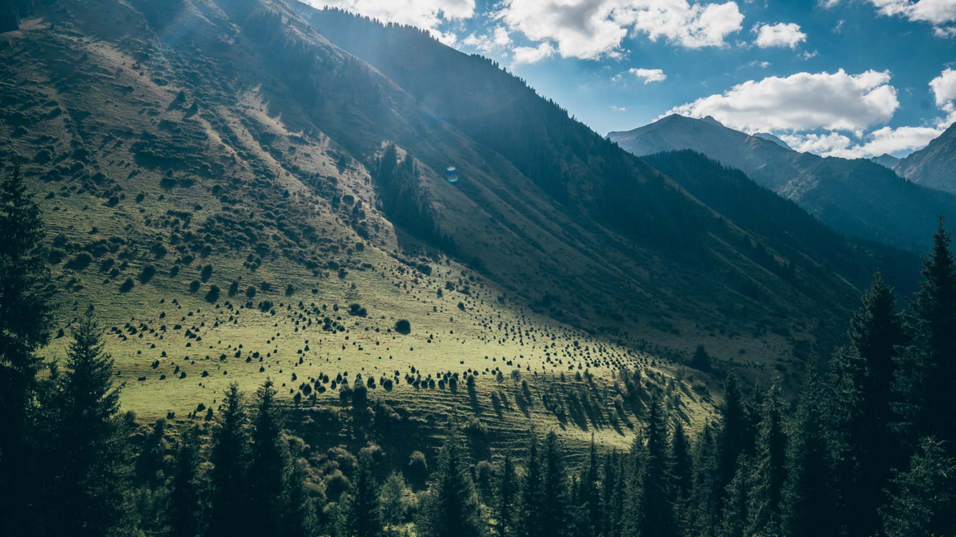 Trekking in Kirghizistan: Karakol e lago Ala Kul Trekking in Kirghizistan: Karakol e lago Ala Kul