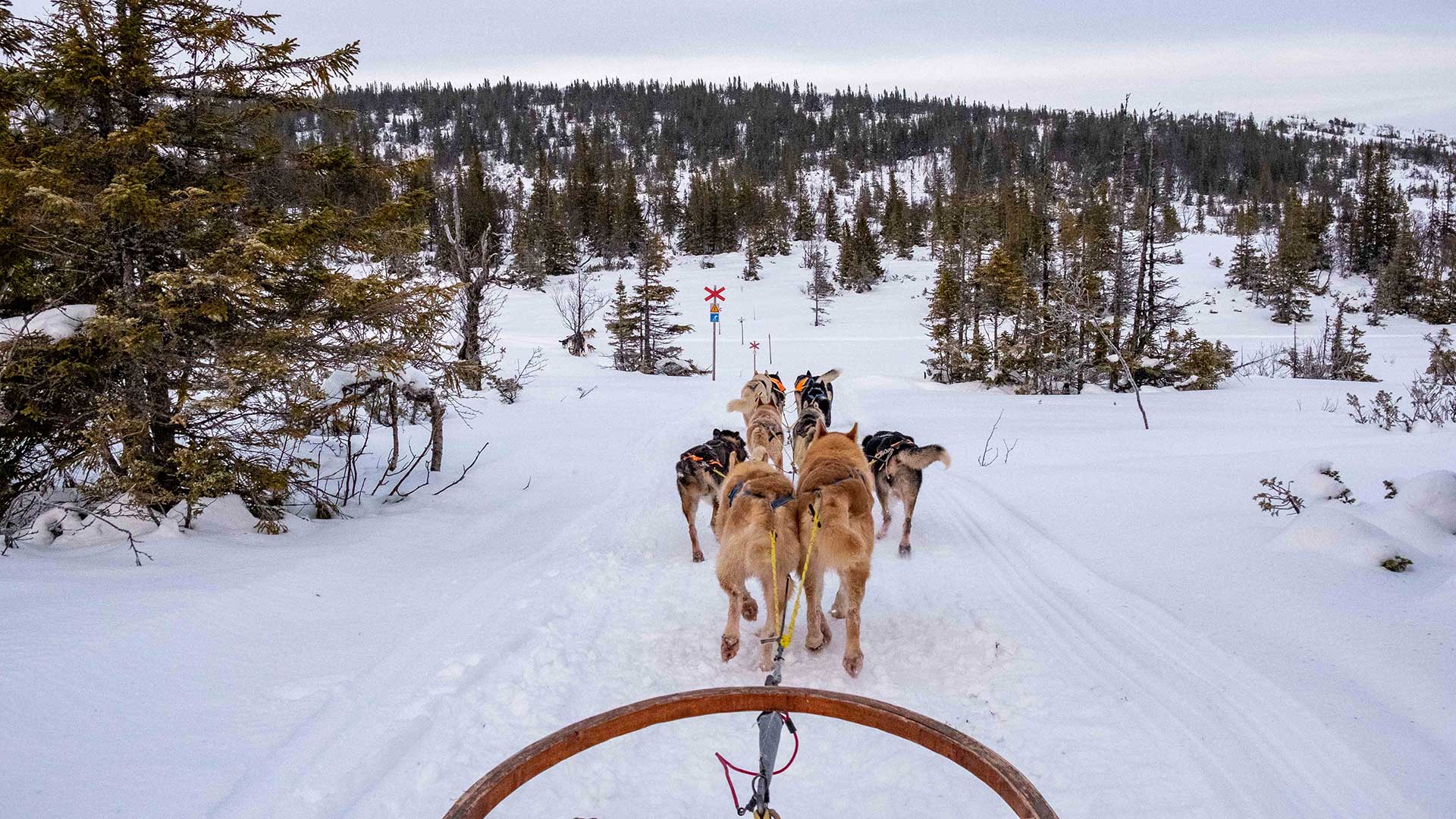 10 cose imperdibili da fare a Tromsø e in Norvegia in inverno 10 cose imperdibili da fare a Tromsø e in Norvegia in inverno