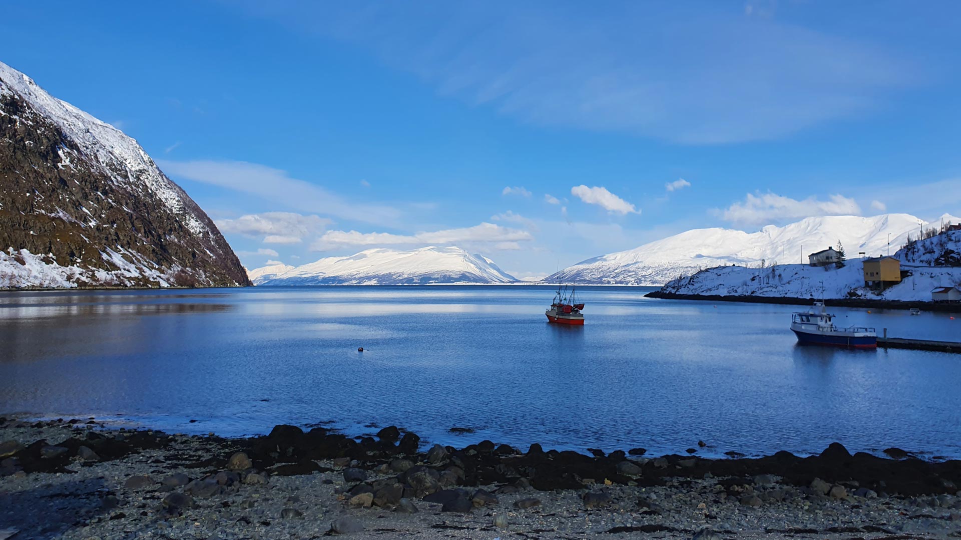 Scialpinismo in Norvegia - Tromsø e Alpi di Lyngen. Escursione di scialpinismo in Norvegia sui pendii delle Alpi di Lyngen affacciati sui fiordi artici.