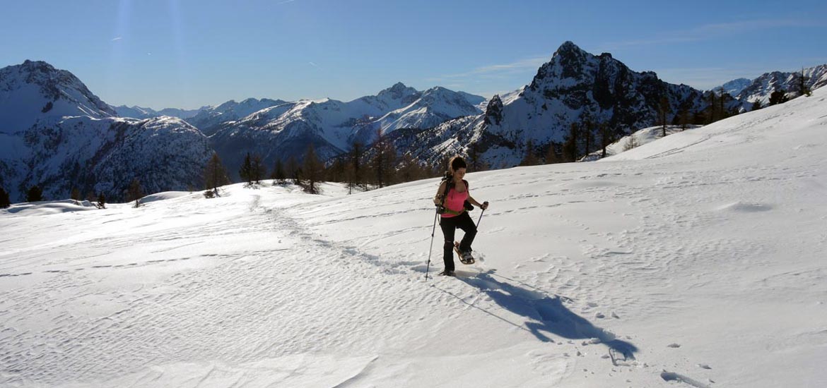 Trekking poles: how to choose the right ones