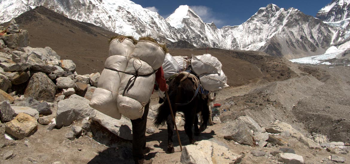 Viaggiare in Nepal - gli Sherpa