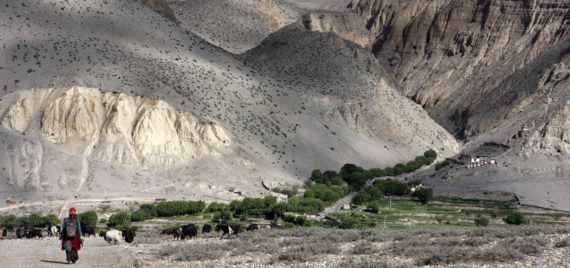 Viaggio in Nepal: il Regno del Mustang Viaggio in Nepal: il Regno del Mustang
