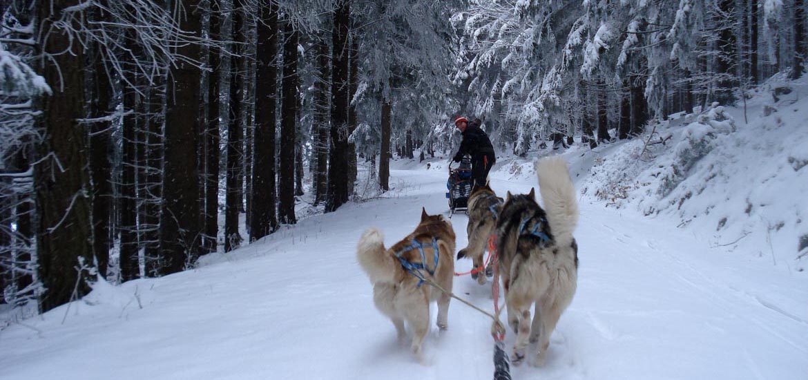 Italia: tour e attività outdoor invernali