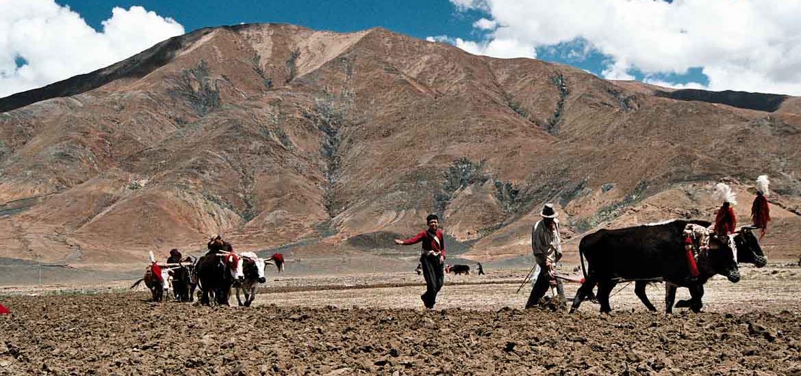 Viaggio in Tibet: quando partire Viaggio in Tibet: quando partire