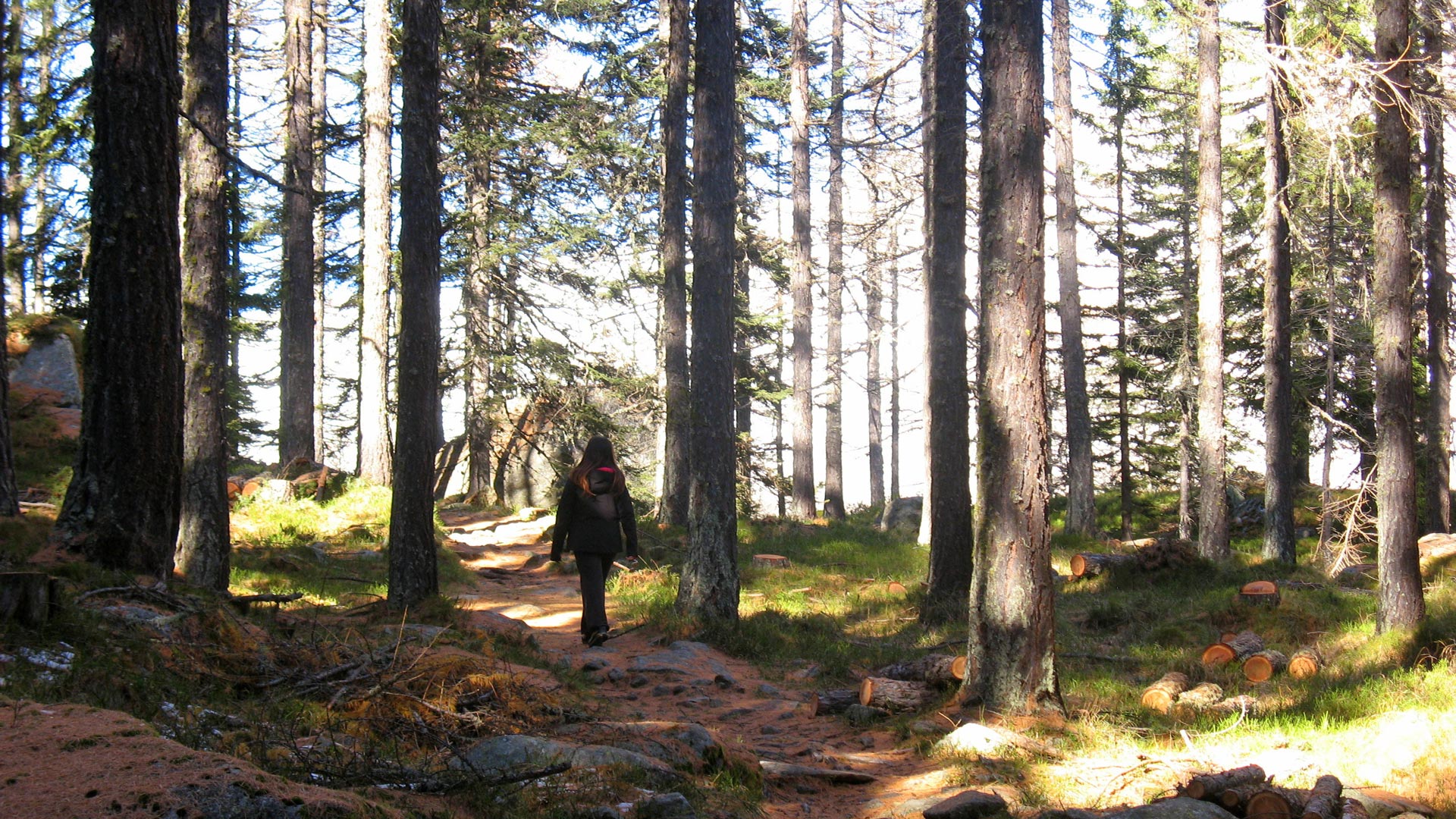 Perché pianificare un trekking estivo con anticipo Perché pianificare un trekking estivo con anticipo
