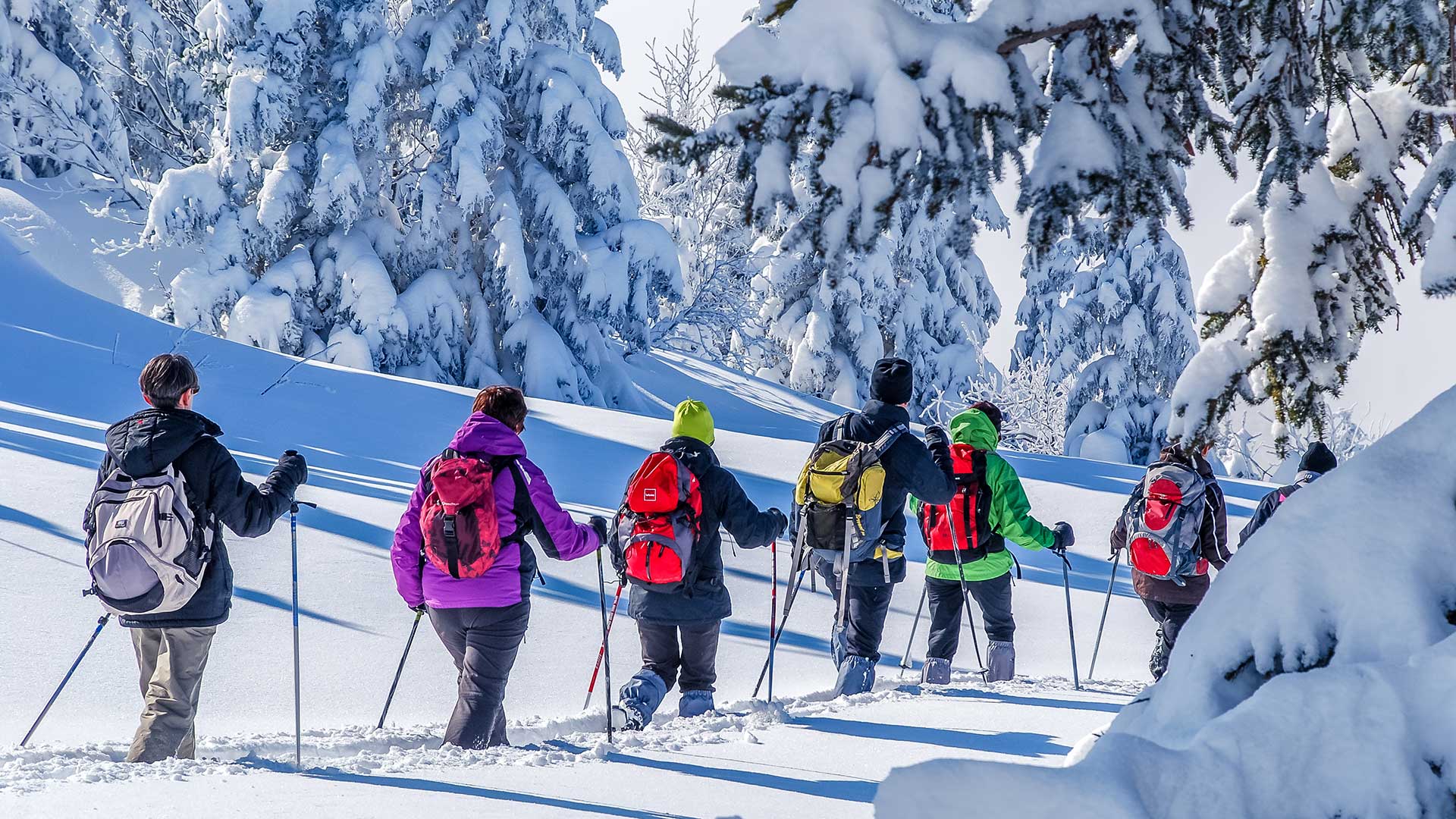 fare trekking in inverno - consigli