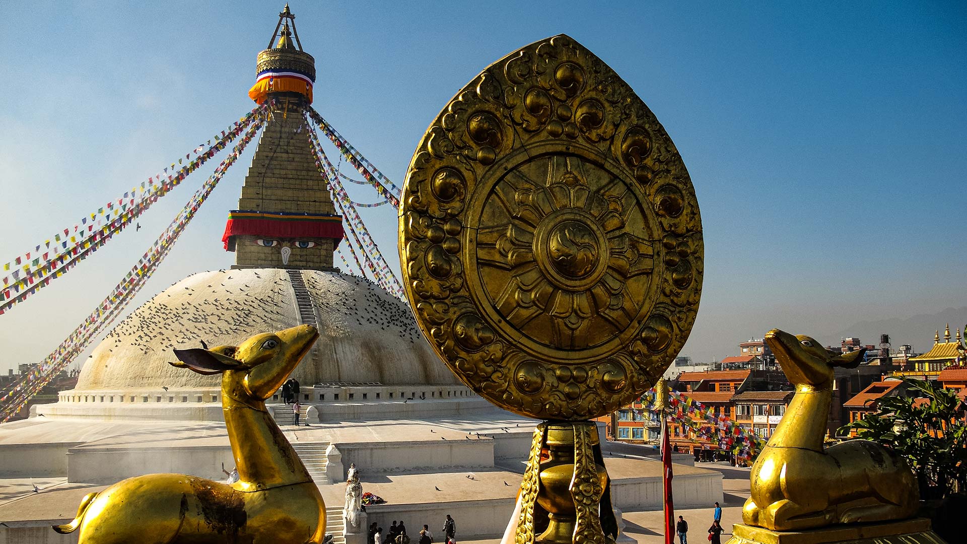 Intervista a Mauro Barberis, guida e trail runner dalle Alpi all’Himalaya