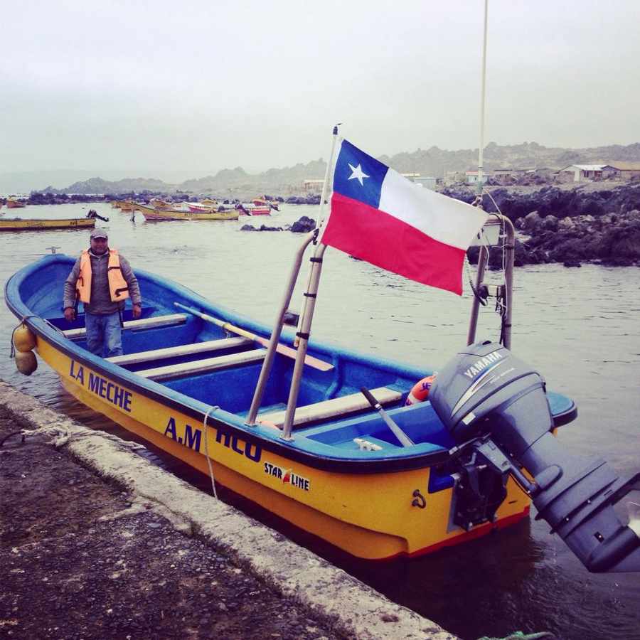 Viaggiare in Cile: Avvistamento Balene, racconto di viaggio