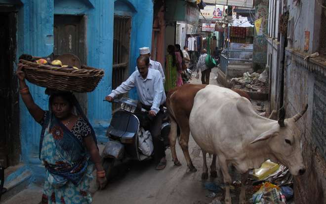 Viaggiare in India: report di viaggio