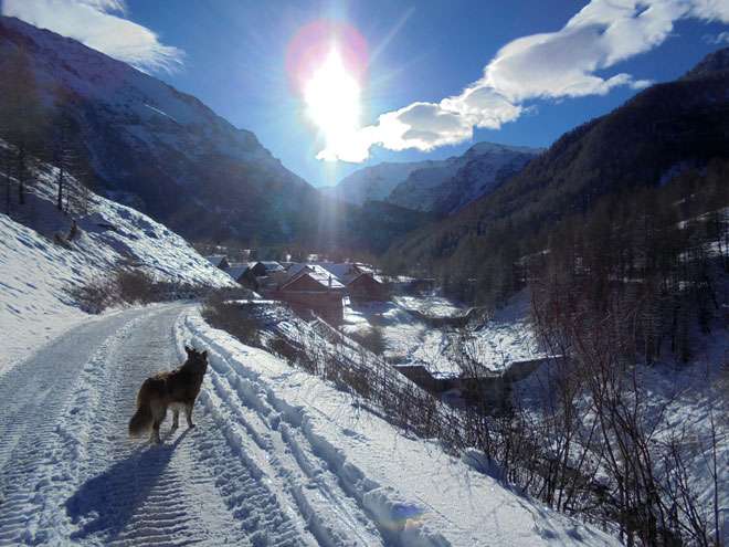 Scialpinismo Monte Giassez Uscita