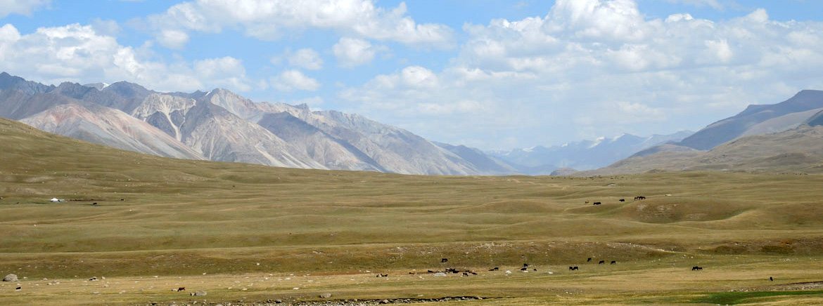 Report Viaggio in Kirghizistan - Tosor Pass e Kel Suu Lake