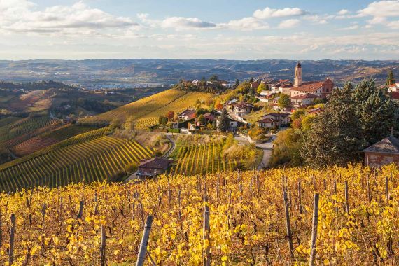 Anello del Barbaresco