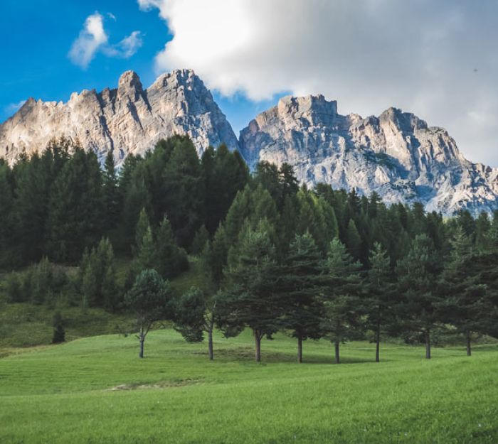 Dolomite Delights: Haute Cuisine Meets Alpine Serenity
