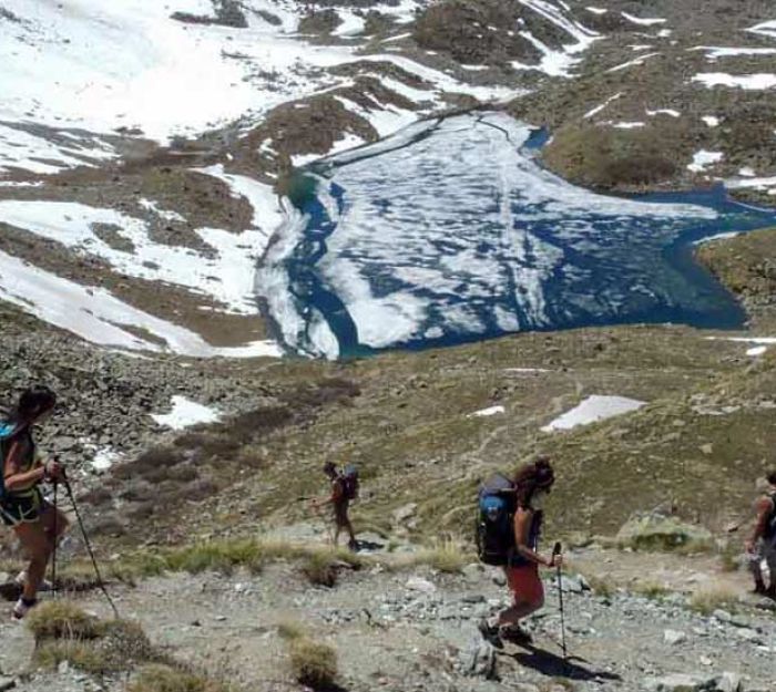 Choosing the Right Trekking Poles for Your Hikes