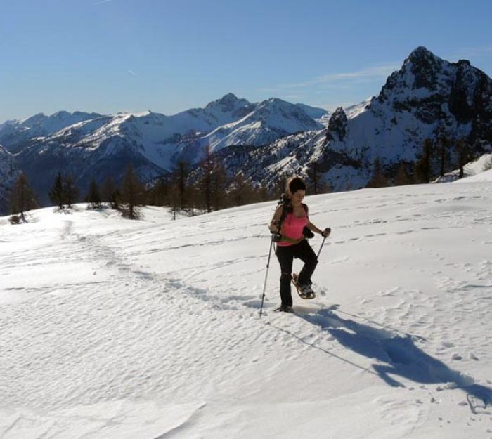 Bastoncini da Trekking - Consigli per la Scelta
